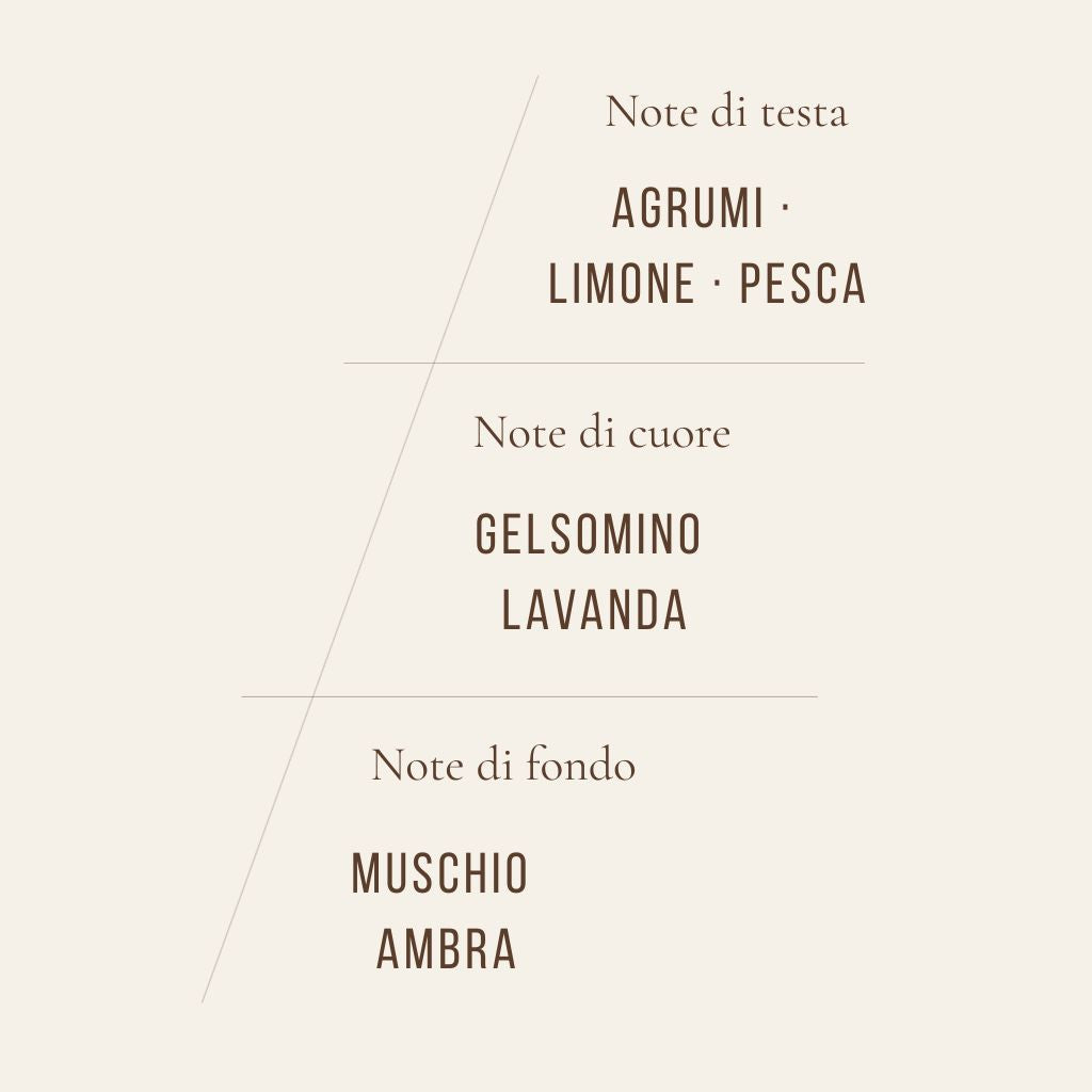 Jar Candle - Citrus Fruits 