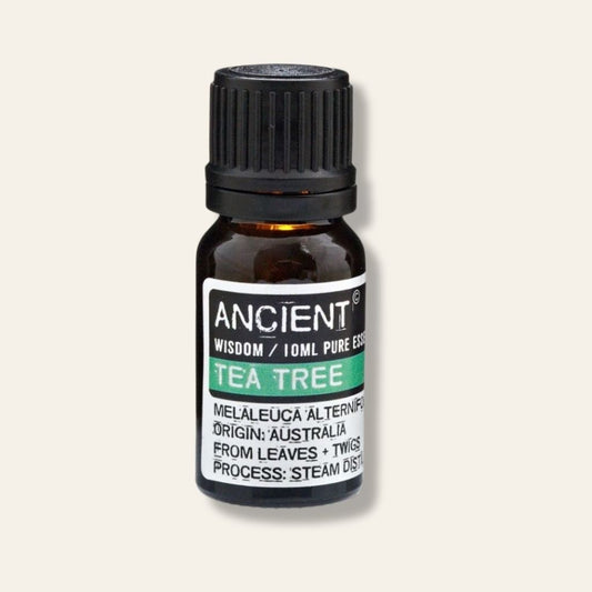 Albero del Tè (Tea Tree) – Olio Essenziale 10 ml