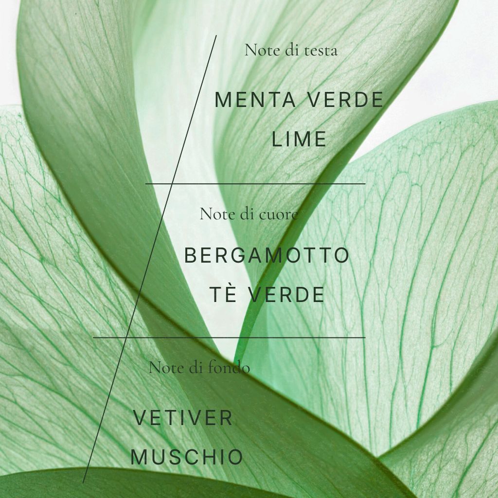 Hop Hare Candle – The Wizard