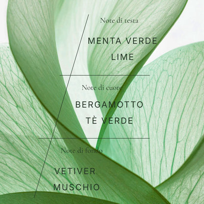 Hop Hare Candle – The Wizard