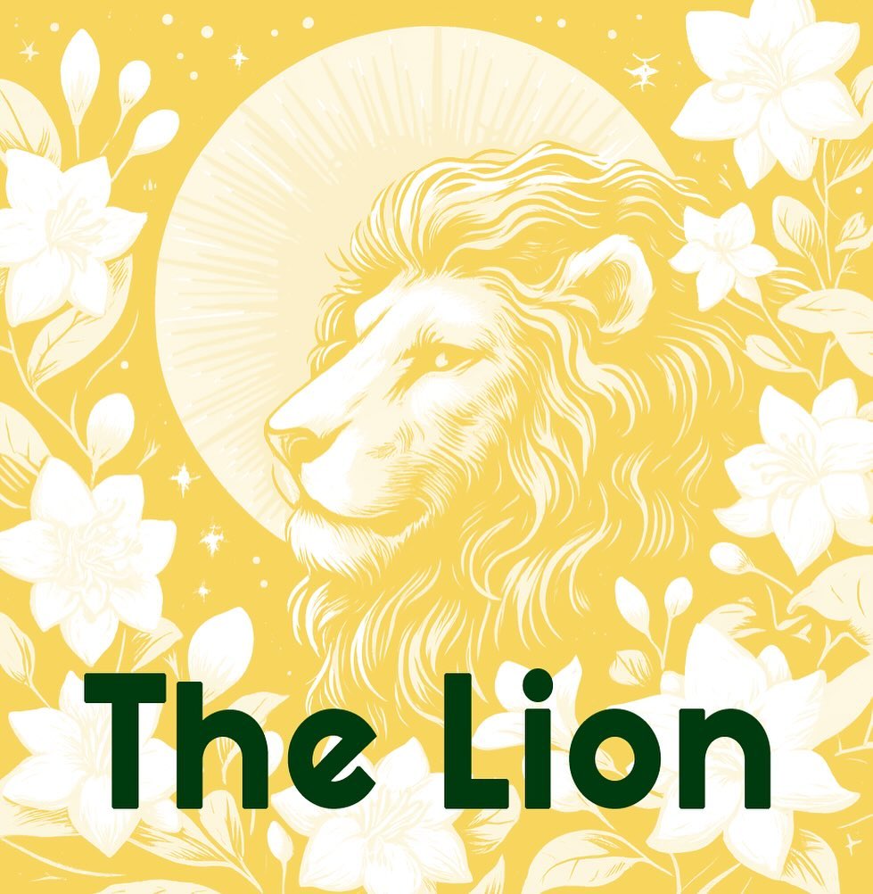 Vela de Cera de Soja · El León · Gracia y Apertura