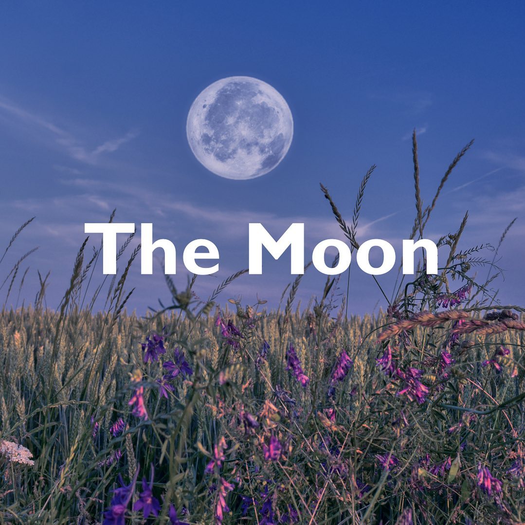 Hop Hare Candle – The Moon