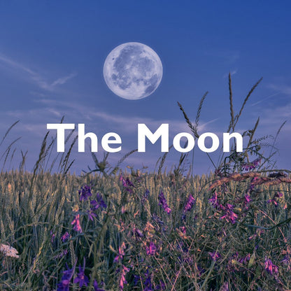 Hop Hare Candle – The Moon