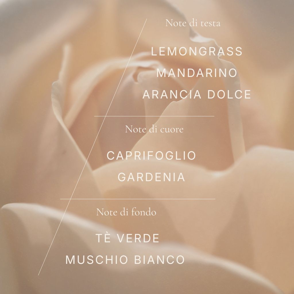 Hop Hare Candle – The Sun