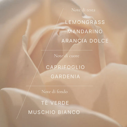 Hop Hare Candle – The Sun