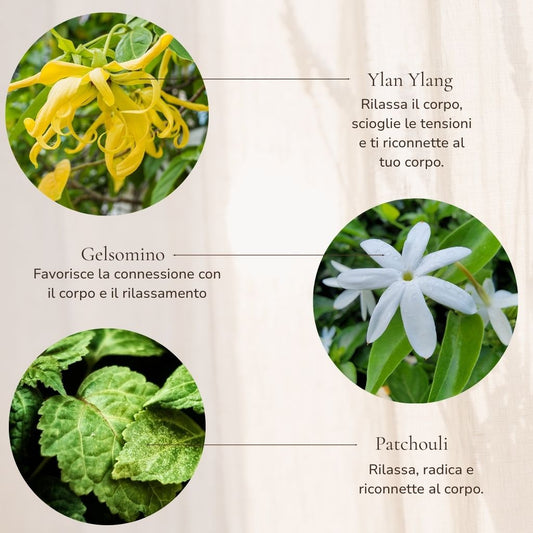 Roll-On – Get Physical · Connection and Vitality