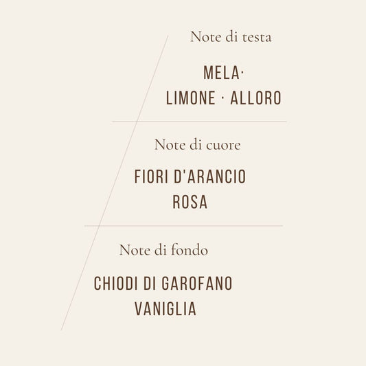 Jar Candles - Clementines 