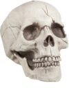 Cranio Teschio Decorazione Halloween