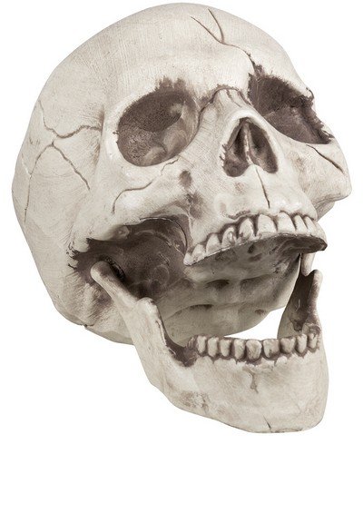 Cranio Teschio Decorazione Halloween