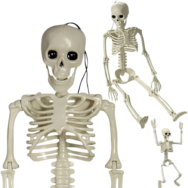 Scheletro Umano Appeso Halloween