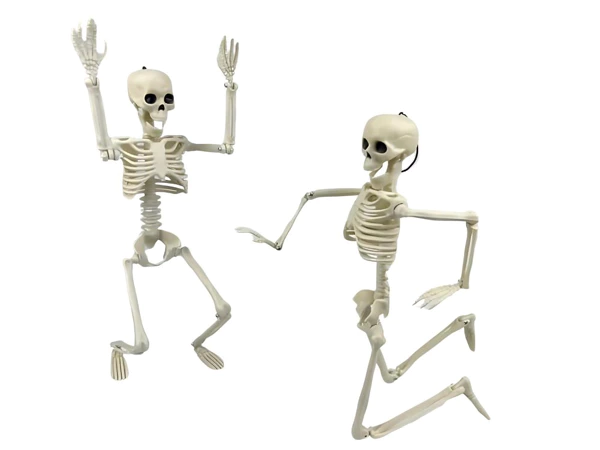 Scheletro Umano Appeso Halloween