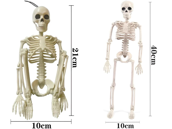 Scheletro Umano Appeso Halloween